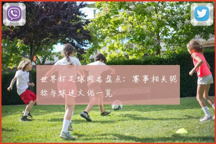 世界杯足球网名盘点:赛事相关昵称与球迷文化一览