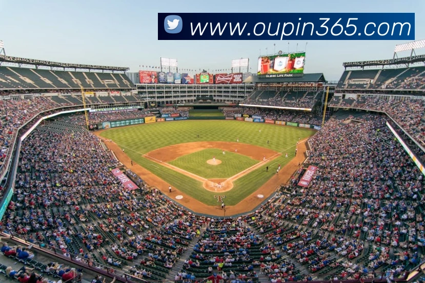 世界杯官方网络平台平台生态图